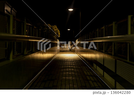 Echoes of the Night 136042280