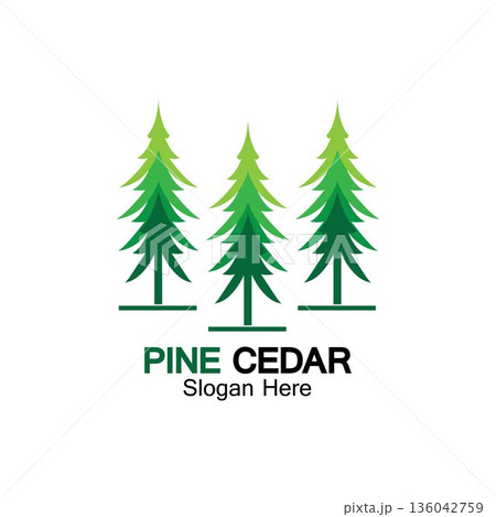 Cedar tree logo template vector icon design 136042759