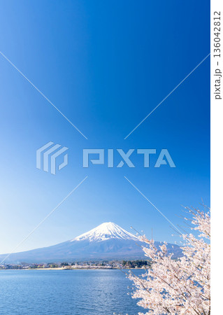 富士山・河口湖 満開の桜 136042812