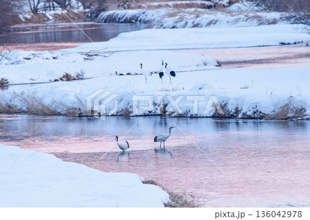 夕焼けの音羽橋から 136042978