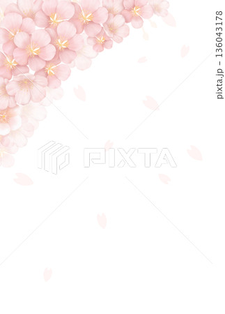 桜の背景〈ハガキ〉 B-1 桜の背景〈ハガキ〉 B-1 136043178