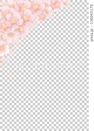 桜の背景〈ハガキ〉 B-1 桜の背景〈ハガキ〉 B-1 136043178
