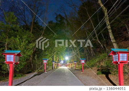 夜の東京都八王子市高尾町(高尾山)の薬王院浄心門の赤い灯ろう 夜の東京都八王子市高尾町(高尾山)の薬王院浄心門の赤い灯ろう 136044051