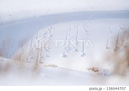 鳥取砂丘の雪景色  136044707