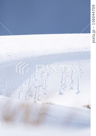 鳥取砂丘の雪景色  136044709