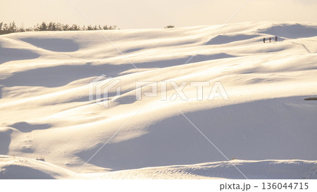 鳥取砂丘の雪景色  136044715