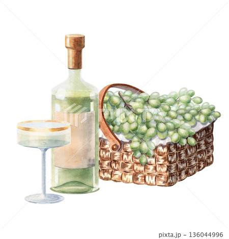 Watercolor picnic composition with wicker basket filled with green grapes, wine bottle and elegant coupe glasses. Perfect for party invitations, wine tasting design, picnic decor, greeting cards. Watercolor picnic composition with wicker basket filled with green grapes, wine bottle and elegant coupe glasses. Perfect for party invitations, wine tasting design, picnic decor, greeting cards. 136044996