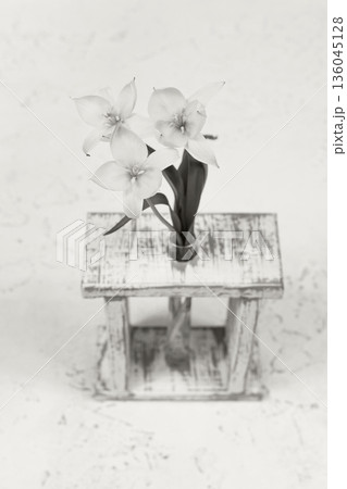 Minimalist bouquet of tulips in a rustic wooden stool vase, with weathered charm and calm simplicity Demonstration Color of the Year 2026 136045128