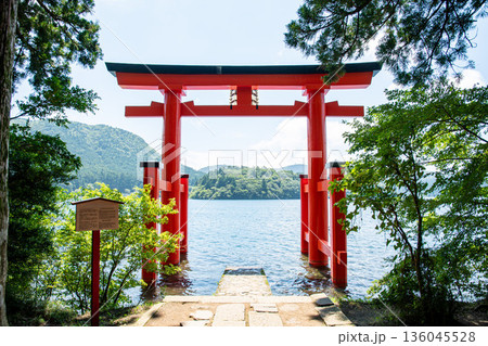 海外の方にも人気のパワースポット箱根神社 136045528
