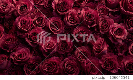 上品で華やかなバラのフラワーウォール背景｜レッド 136045541