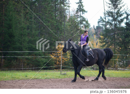 Woman Riding Horse With Forest Background In Autumn 136045976