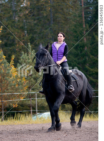 Young Woman Riding Black Horse Through Autumn Forest Paddock Young Woman Riding Black Horse Through Autumn Forest Paddock 136045983