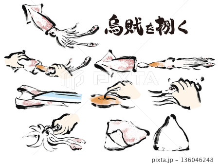 烏賊を捌く和風筆イラスト素材セット 136046248