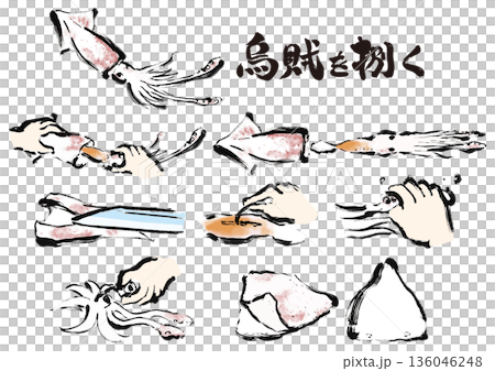 Japanese style brush illustration material set for cutting squid Japanese style brush illustration material set for cutting squid 136046248