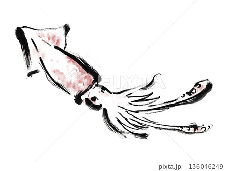 烏賊の和風筆イラスト素材 136046249