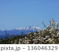 岩手山と満開の梨の花 青空の岩手県春の風景 136046329
