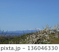 岩手山と満開の梨の花 青空の岩手県春の風景 136046330