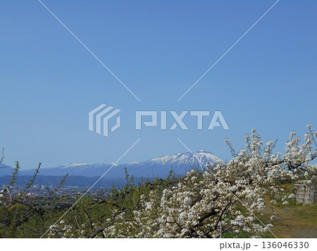 岩手山と満開の梨の花 青空の岩手県春の風景 岩手山と満開の梨の花 青空の岩手県春の風景 136046330