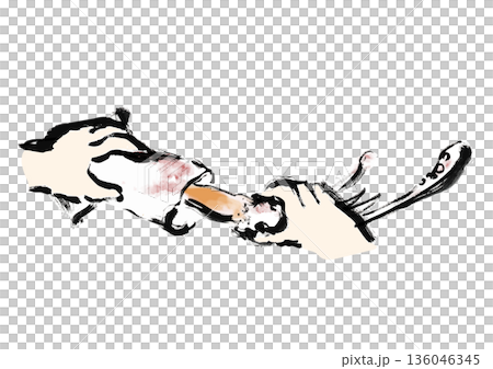 Japanese style brush illustration material for pulling out and cutting squid 136046345