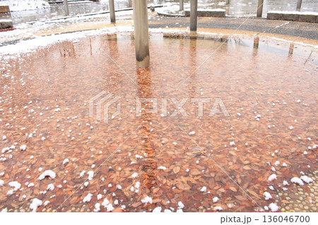 凍結した落ち葉を撮影しました。 136046700