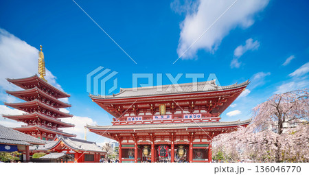 春の浅草寺、五重塔と桜 136046770