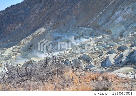 大涌谷の火山活動 大涌谷の火山活動 136047001