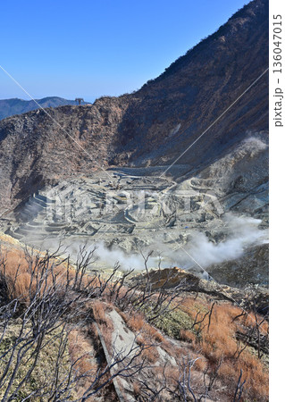 大涌谷の火山活動 大涌谷の火山活動 136047015