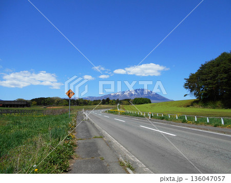小岩井農場へ続く道と岩手山 新緑のドライブコース 小岩井農場へ続く道と岩手山 新緑のドライブコース 136047057