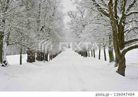 Snowy winter road. Dangerous car driving in the mountains in the winter. Concept for transportation, cars and travel. 136047404
