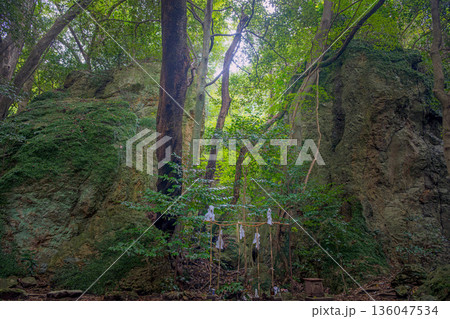 島根出雲 立石神社 原生林の中の磐座 136047534