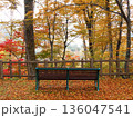 紅葉が見頃の森と木のベンチ 秋の行楽イメージ 136047541