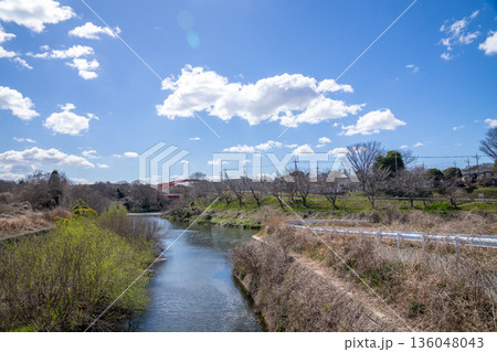 川辺の風景 136048043