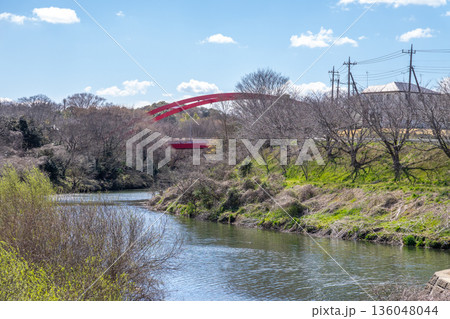 川辺の風景 136048044
