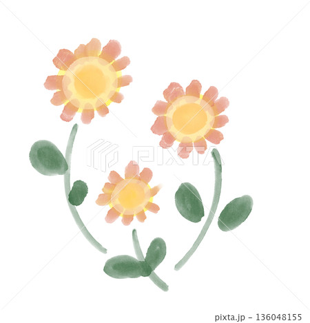 やさしいオレンジ色の花が並ぶ、あたたかな雰囲気の植物イラスト素材 やさしいオレンジ色の花が並ぶ、あたたかな雰囲気の植物イラスト素材 136048155