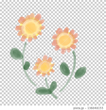 やさしいオレンジ色の花が並ぶ、あたたかな雰囲気の植物イラスト素材 やさしいオレンジ色の花が並ぶ、あたたかな雰囲気の植物イラスト素材 136048155
