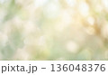 春の木漏れ日のイメージの背景画像 136048376