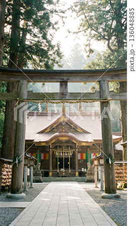 精巧な木造建築が美しい架空の神社 社殿と狛犬 フィクションのご利益 罰の当たらない素材 3DCG 136048885