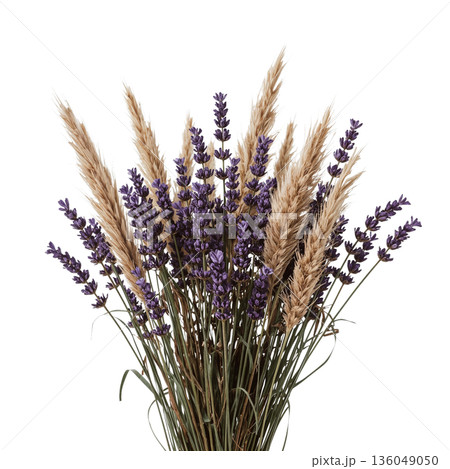 Lavender and Wheat Bouquet in a Simple Arrangement on a White Background Lavender and Wheat Bouquet in a Simple Arrangement on a White Background 136049050