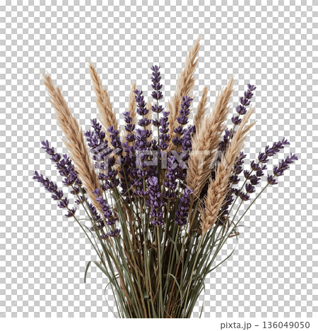 Lavender and Wheat Bouquet in a Simple Arrangement on a White Background Lavender and Wheat Bouquet in a Simple Arrangement on a White Background 136049050