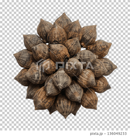 Unique Structure Made of Natural Materials Found in Craft Workshop During Daytime 136049233