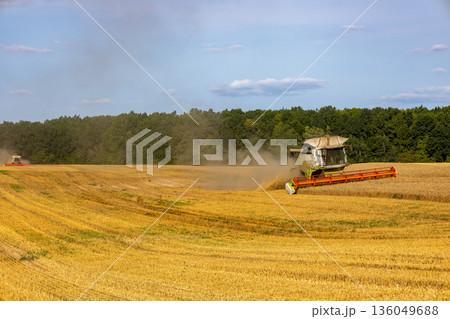 Farmers operate massive combine harvesters in vast golden fields, gathering ripe crops while dust swirls in the warm summer air 136049688