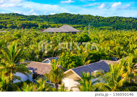 Iceland Phu Quoc Vietnam 5.7.2025. A lush green jungle with palm trees and a few houses Iceland Phu Quoc Vietnam 5.7.2025. A lush green jungle with palm trees and a few houses 136050146