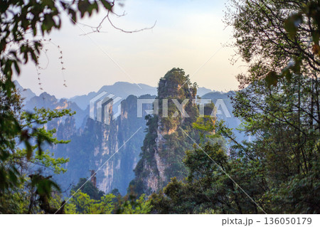 Zhangjiajie national forest park. A mountain range with a forest in the background Zhangjiajie national forest park. A mountain range with a forest in the background 136050179