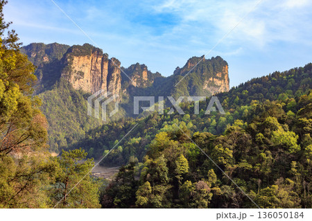 Zhangjiajie national forest park. A mountain range with a clear blue sky and a few clouds Zhangjiajie national forest park. A mountain range with a clear blue sky and a few clouds 136050184