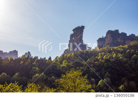 Zhangjiajie national forest park. A mountain range with a clear blue sky and trees 136050186