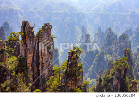 Zhangjiajie national forest park. A mountain range with a lot of trees and a few rocks Zhangjiajie national forest park. A mountain range with a lot of trees and a few rocks 136050204