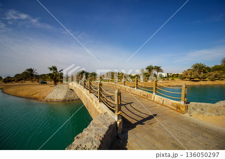 A bridge spans a river with a lush green forest on either side A bridge spans a river with a lush green forest on either side 136050297