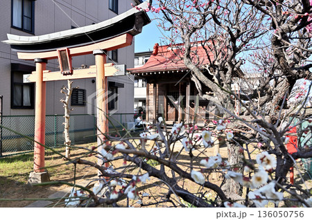 越谷散歩:北野天満宮(下七左稲荷神社飛地) 越谷市新越谷 越谷散歩:北野天満宮(下七左稲荷神社飛地) 越谷市新越谷 136050756