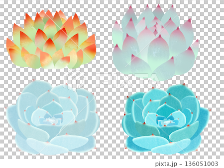 多肉植物 136051003