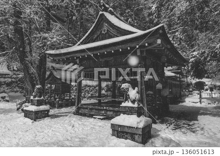 雪に包まれた静寂の神社境内 雪に包まれた静寂の神社境内 136051613